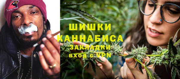 индика Армянск