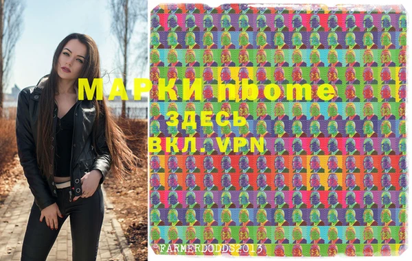 индика Армянск