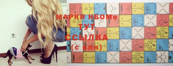 индика Армянск