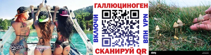 Псилоцибиновые грибы Psilocybe  нарко площадка формула  Дыгулыбгей 